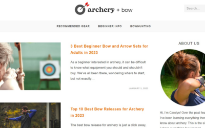 What is An Authority Blog & How Does it Makes Money Online